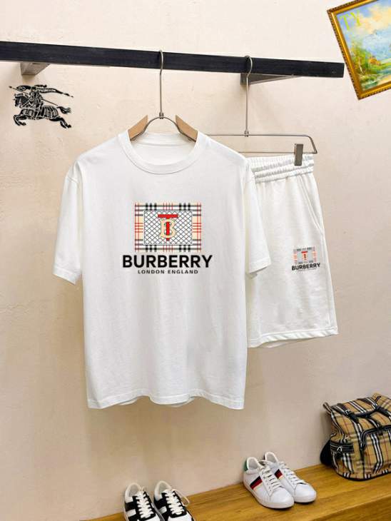 Picture of Burberry Shirt Pant Suits _SKUBurberryM-3XL25tr33420320